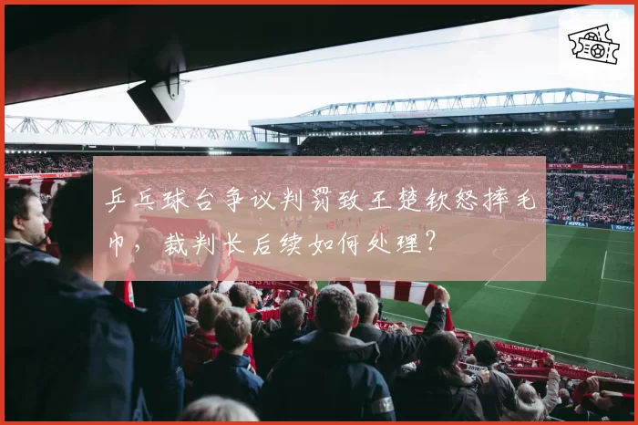 乒乓球台争议判罚致王楚钦怒摔毛巾,裁判长后续如何处理?