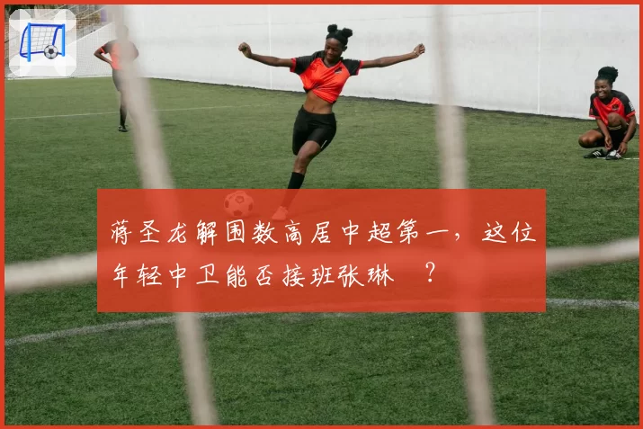 蒋圣龙解围数高居中超第一，这位年轻中卫能否接班张琳芃？